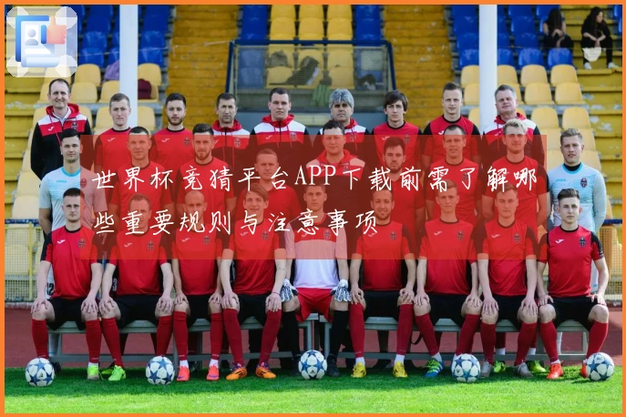 世界杯竞猜平台APP下载前需了解哪些重要规则与注意事项