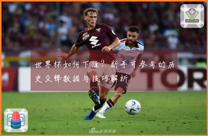 世界杯如何下注？新手可参考的历史交锋数据与技巧解析
