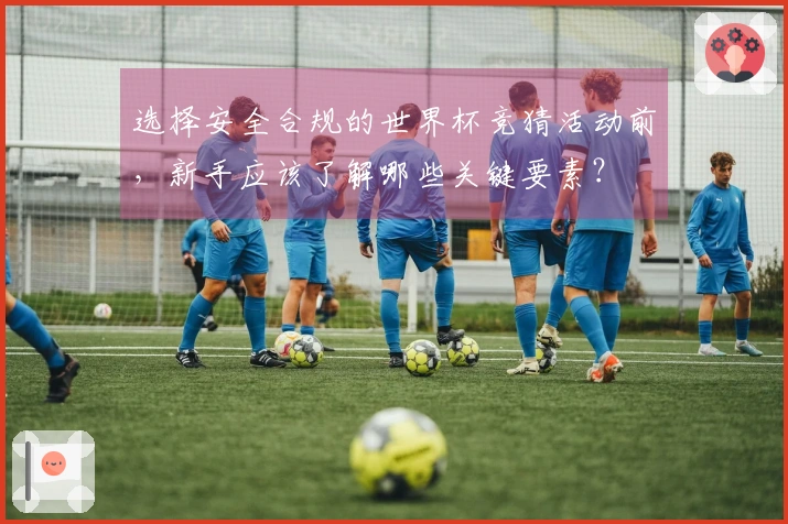 选择安全合规的世界杯竞猜活动前，新手应该了解哪些关键要素？
