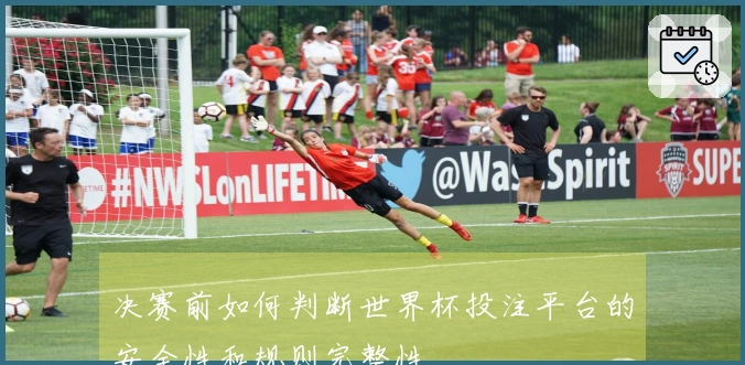 决赛前如何判断世界杯投注平台的安全性和规则完整性