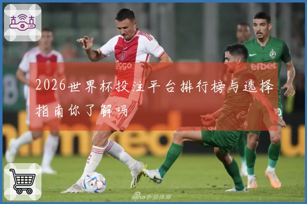 2026世界杯投注平台排行榜与选择指南你了解吗