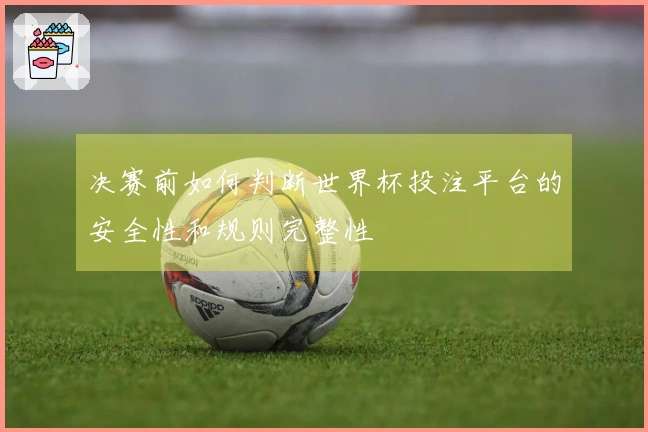 决赛前如何判断世界杯投注平台的安全性和规则完整性